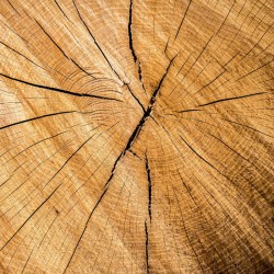 Anc. Ets. Aloyse Heidesch