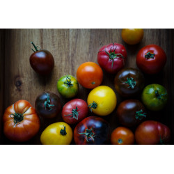 Frische Tomaten (Saison 2021) Abonnement